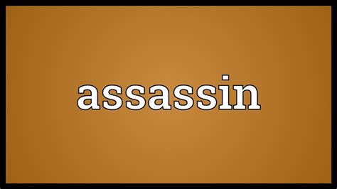 meaning of assassin